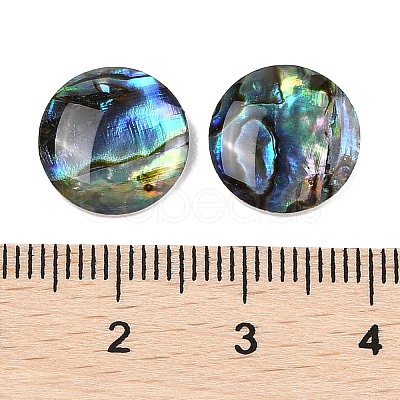 Natural Paua Shell Cabochons SSHEL-I026-20C-1