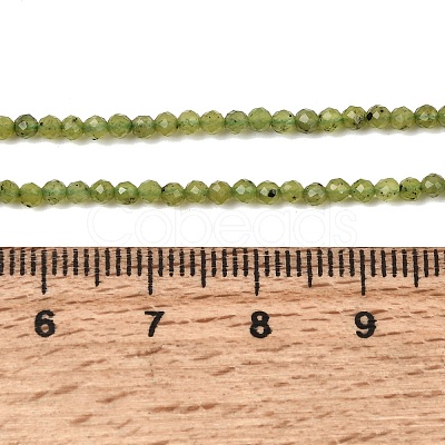 Natural Canadian Jade Beads Strands G-G259-D02-2mm-1