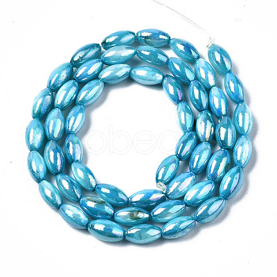 Freshwater Shell Beads Strands SHEL-N026-141C-1