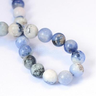 Natural Sodalite Round Bead Strands G-E334-6mm-08-1