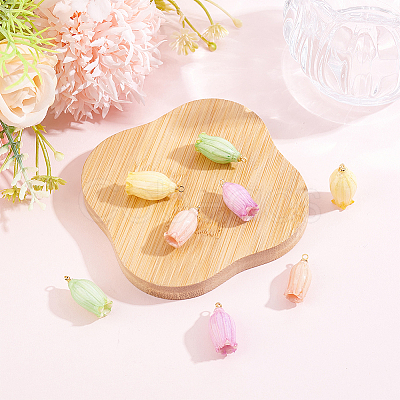 8Pcs 4 Colors Opaque Resin Pendants RESI-ME0001-52-1