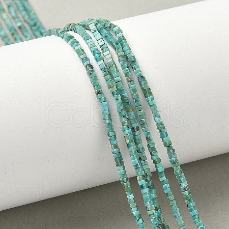 Natural HuBei Turquoise Beads Strands G-G271-G05-1x1.5mm-1