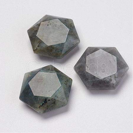 Natural Labradorite Pendants G-P264-01-1