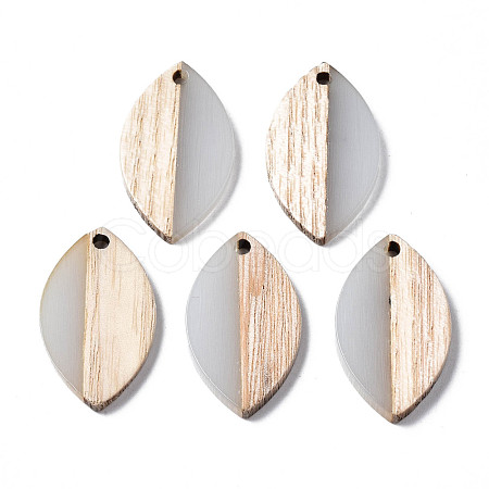Resin & Wood Pendants RESI-S389-075-1