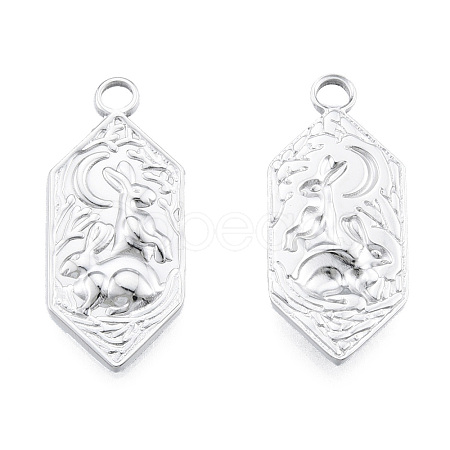Non-Tarnish 201 Stainless Steel Pendants STAS-N098-254P-1
