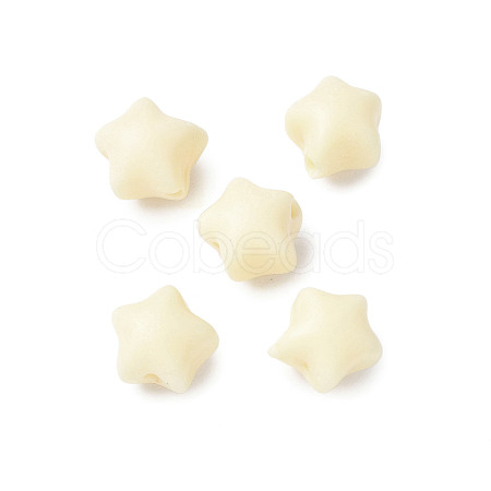 Natural Tagua Beads Jewelry Findings WOOD-V001-03-1