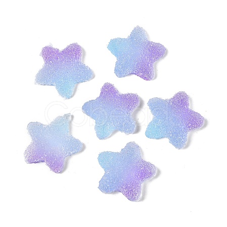 Imitation Candy Food Style Resin Cabochons RESI-R461-02N-1