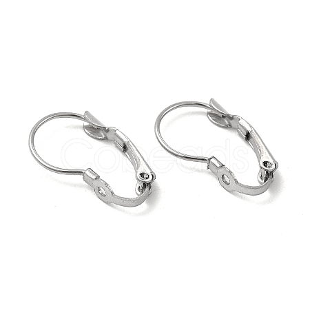 Non-Tarnish 316 Surgical Stainless Steel Leverback Earring Findings STAS-P319-36P-1