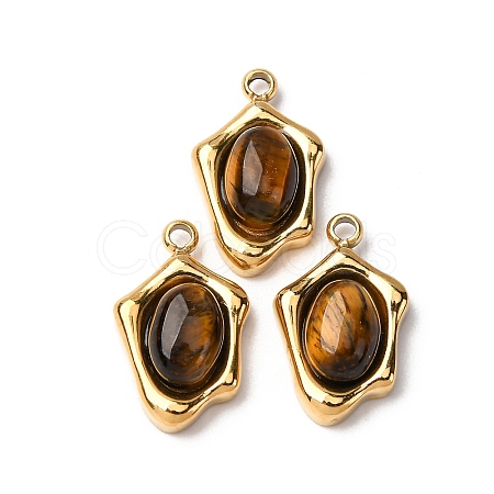 Natural Tiger Eye Irregular Oval Charms STAS-L022-525G-02-1