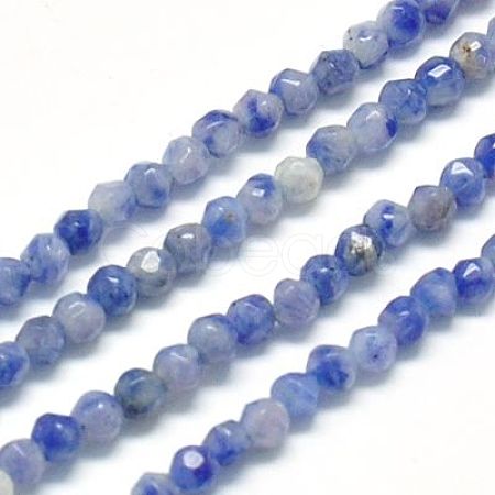 Natural Sodalite Beads Strands X-G-J002-09-1