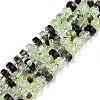 Natural Prehnite Beads Strands G-N327-07H-1