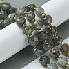 Natural Labradorite Beads Strands G-Q010-A25-01-2