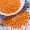 MIYUKI Round Rocailles Beads X-SEED-G007-RR0405-1