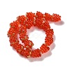 Handmade Lampwork Beads Strands LAMP-Q036-05B-2
