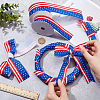 2 Rolls 2 Styles Independence Day Polyester Ribbon OCOR-NB0001-70-3