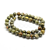 Natural Rhyolite Jasper Bead Strands G-G684-01-8mm-3
