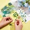 DIY Stretch Bracelet Making Kit DIY-NB0009-29-3
