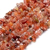 Natural Carnelian Beads Strands G-P332-04-1