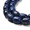Natural Lapis Lazuli Beads Strands G-H319-A01-03-3