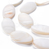 Natural Freshwater Shell Beads Strands SHEL-N026-169-3