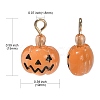 10Pcs Halloween Theme Transparent Resin Charms RESI-CJ0002-93-2