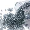 TOHO 11/0 Round Beads X-SEED-TR11-0113-1