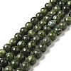 Natural Gemstone Beads Z0NCT014-2