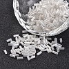 Transparent Colours Pearl Luster Plated Round Hole Glass Bugle Beads SEED-I001-101-1