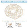 2 Strands Natural Cultured Freshwater Pearl Beads Strands PEAR-BBC0001-18-2