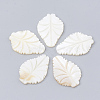 Freshwater Shell Cabochon SHEL-Q020-14B-1