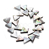 Natural Black Lip Shell Bead Strands SHEL-R018-03-2