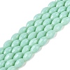 Opaque Solid Color Glass Beads Strands GLAA-N071-01A-C05-1