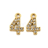 304 Stainless Steel Pendants STAS-L080-002G-04-1