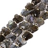 Natural Labradorite Beads Strands G-N371-10A-01-2
