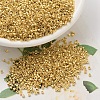 MIYUKI Delica Beads X-SEED-J020-DB0031-1