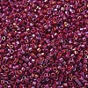 MIYUKI Delica Beads SEED-X0054-DB2275-1