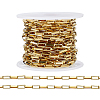 304 Stainless Steel Paperclip Chains CHS-WH0020-005G-1