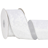 10 Yards Single Face Velvet Wired Ribbon SRIB-WH20020-023C-1