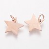 Ion Plating(IP) 304 Stainless Steel Charms STAS-Q201-T461R-2