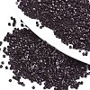 FGB 11/0 Grade A Glass Seed Beads X-SEED-S030-1014-1