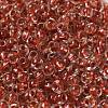 6/0 Transparent Inside Colours Glass Seed Beads SEED-P006-01A-05-3