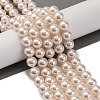 Baking Paint Pearlized Glass Pearl Round Bead Strands PEAR-H019-02C-02-1