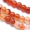 Natural Carnelian Beads Strands G-A177-04-19-3