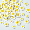 3 Styles Plastic Cabochons FIND-SC0019-49-7