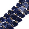 Natural Sodalite Beads Strands G-N371-10A-03-2