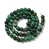 Natural Fuchsite Beads Strands G-D470-12C-1-2