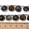 Natural Labradorite Beads Strands G-C292-A09-01-4