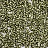 11/0 Grade A Baking Paint Glass Seed Beads X-SEED-S030-1037-2