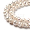 Natural Cultured Freshwater Pearl Beads Strands PEAR-L033-22-2