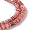 Natural Freshwater Shell Beads Strands BSHE-I016-04E-3